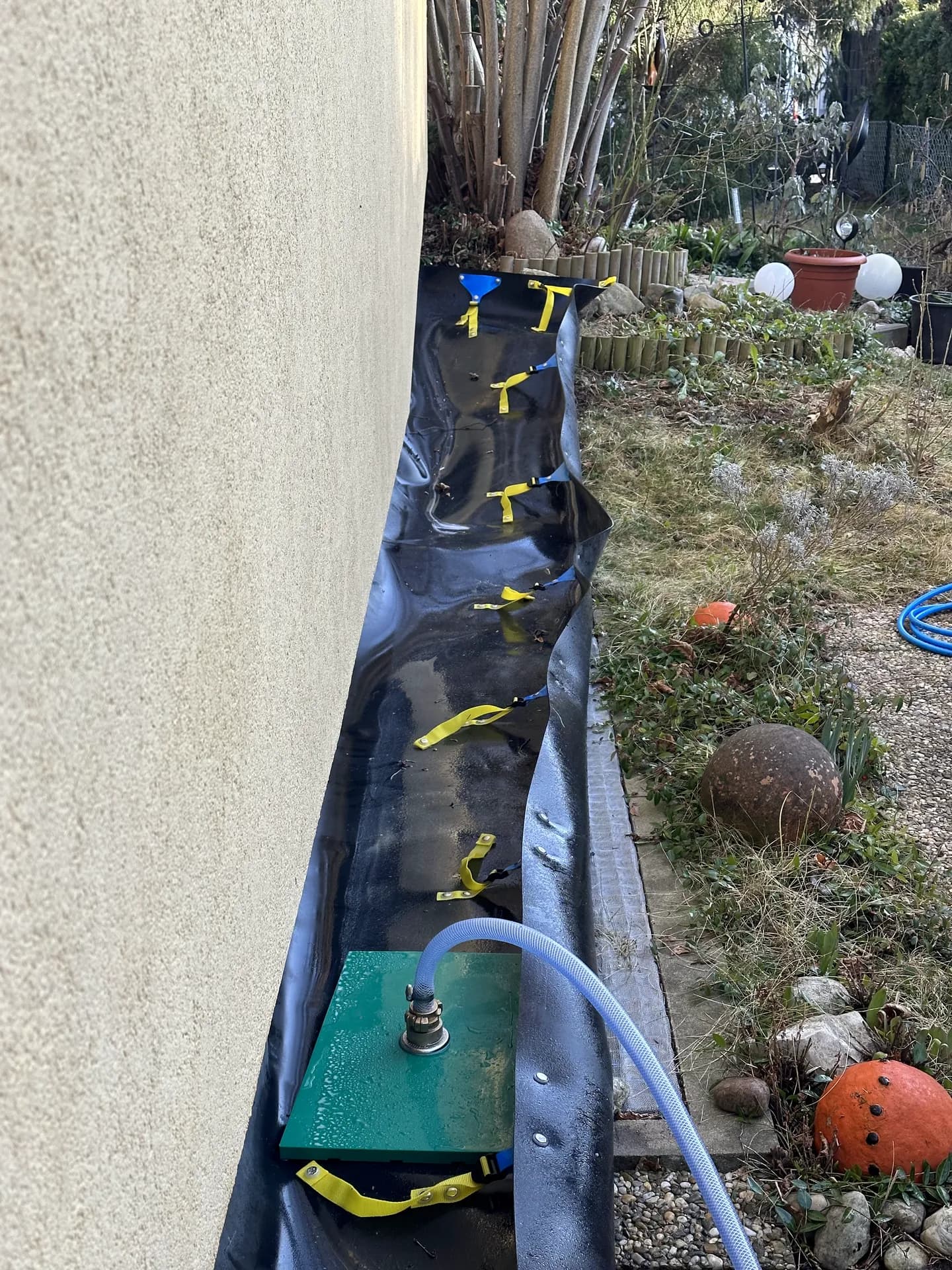 Gepflegte Außenanlage einer Wohnanlage